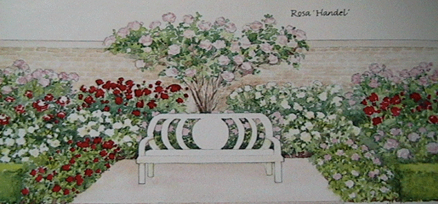 Rose Garden Design garden design ideas roses photo 9 Garden Design With Formal Rose Garden Designs Rose Garden Heratige Rose With How To Make Raised Rose Garden Design traditional rose garden design santa barbara lanscapers rose garden care Garden Design With Formal Rose Garden Designs Rose Garden Heratige Rose With How To Make Raised